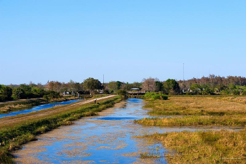 20090220_163342 D3 P1 5100x3400 srgb.jpg - Loxahatchee National Wildlife Preserve